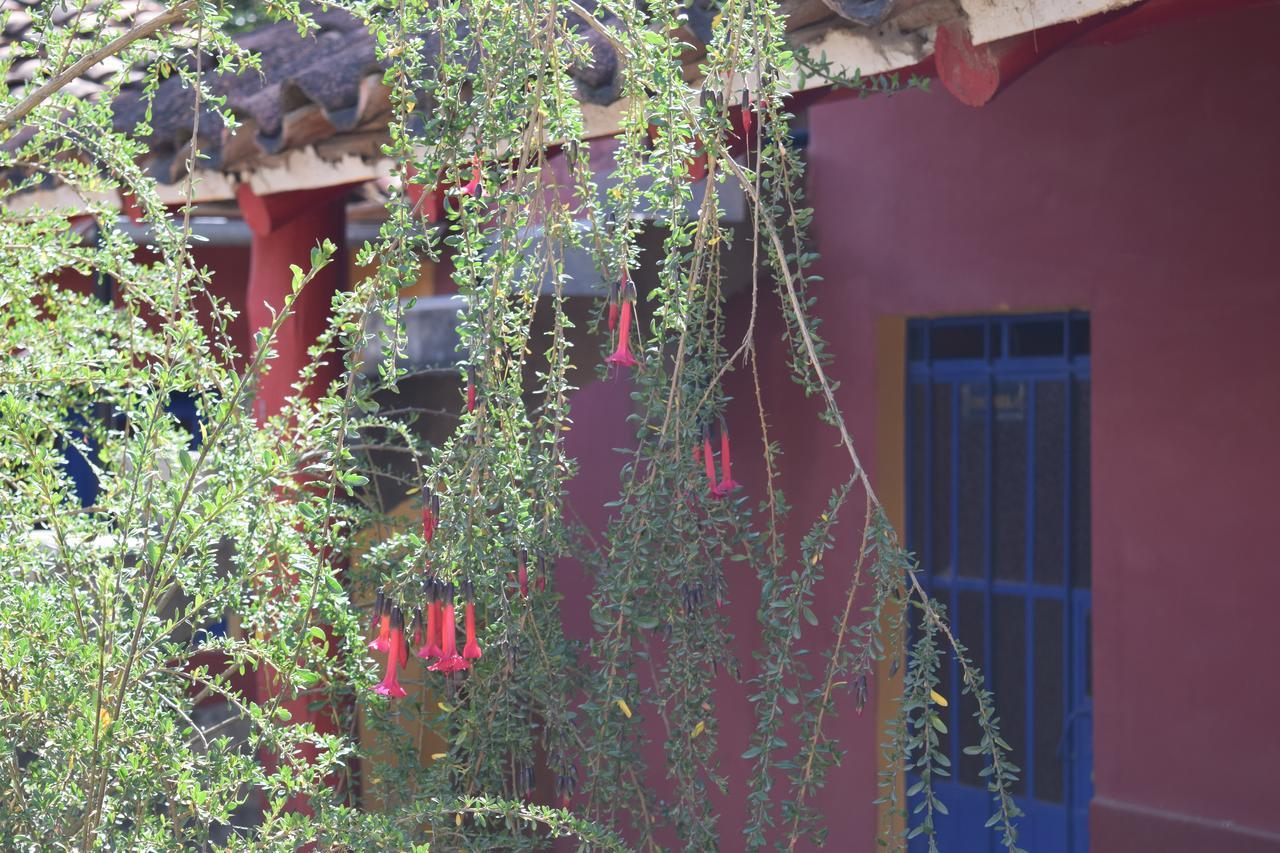 La Casita De Mi Abuela Vandrerhjem Mancos Eksteriør bilde