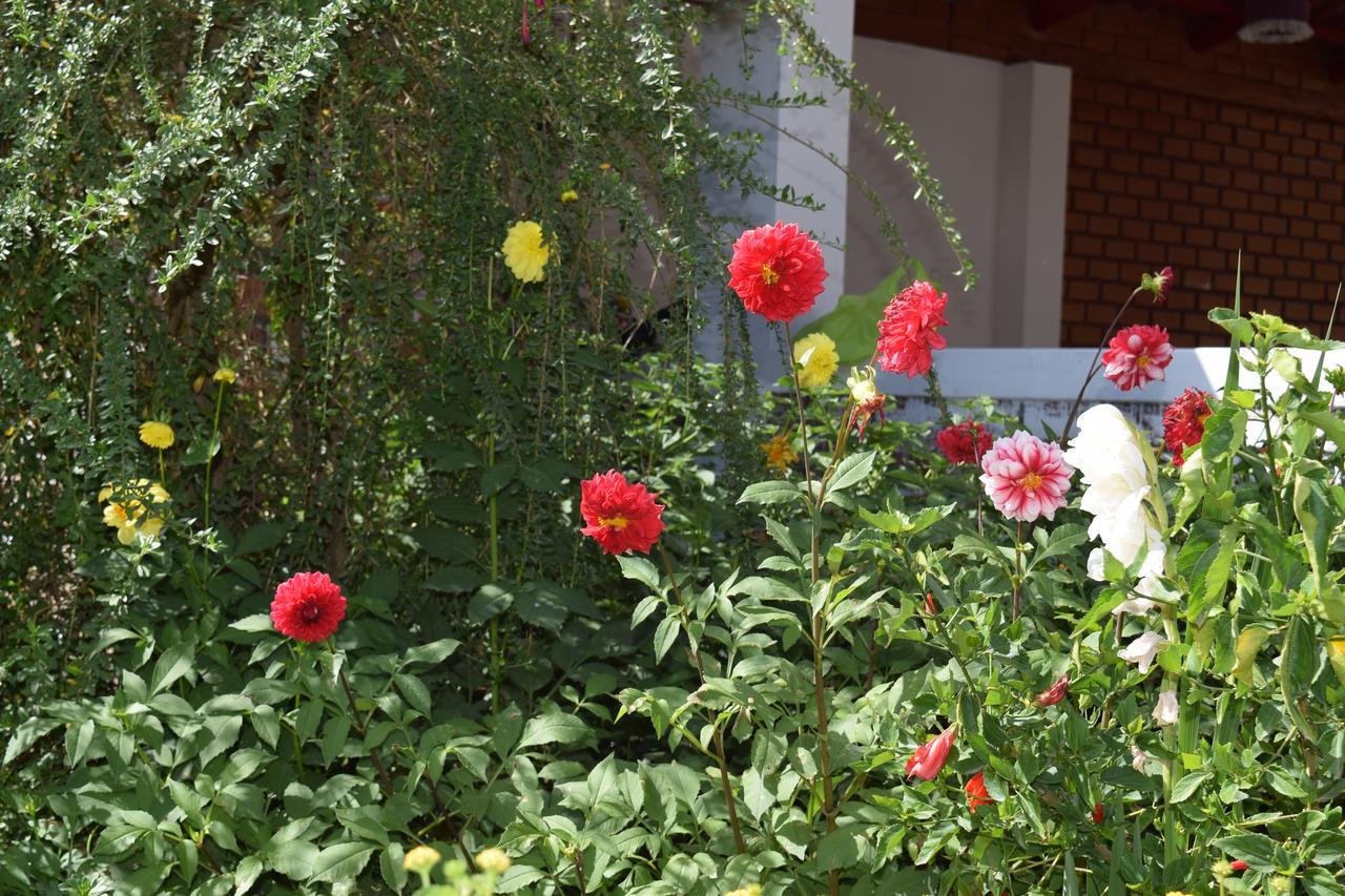 La Casita De Mi Abuela Vandrerhjem Mancos Eksteriør bilde
